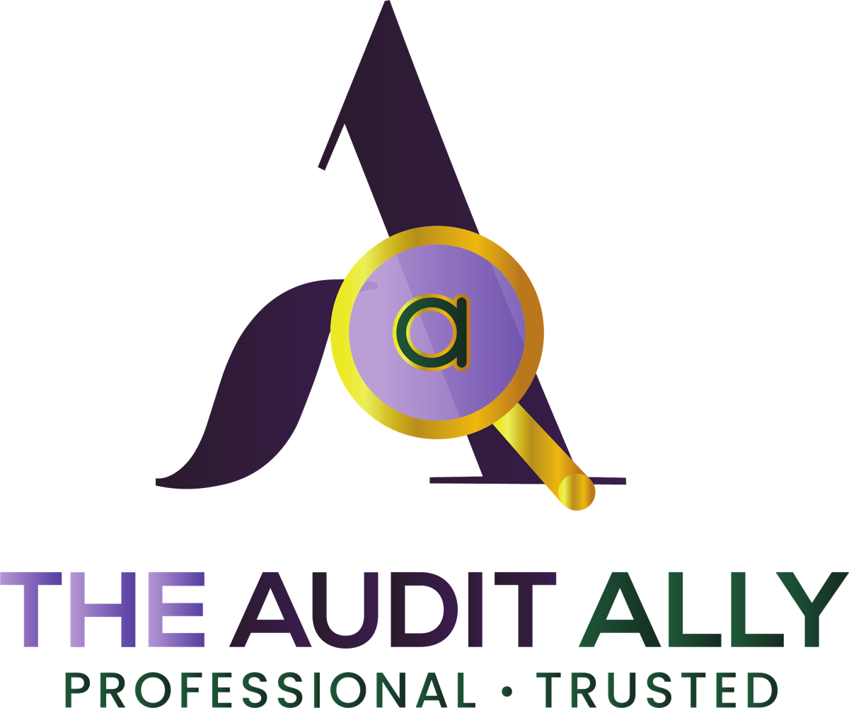 The Audit Ally